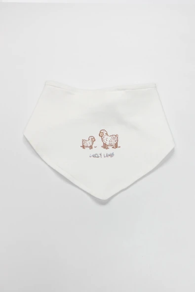 Bistyle Curly Lamb 10'lu Hastane Çıkışı 11106 Bej Mavi Ekru - 5