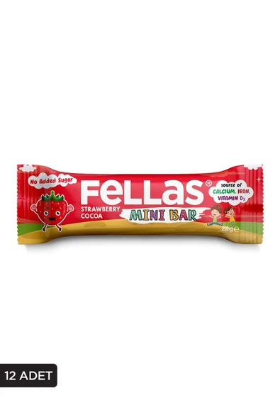 Mini Meyve Bar - Çilekli ve Kakaolu 28g x 12 Adet - 2