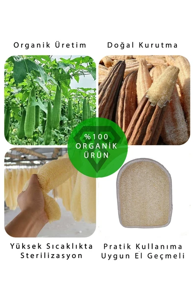 Doğal Kabak Lifi 22x17 Cm El Geçmeli, Batık, Selüloit, Sivilce, Ölü Deri Ve Çilek Görünümüne Son!!! - Resim 6