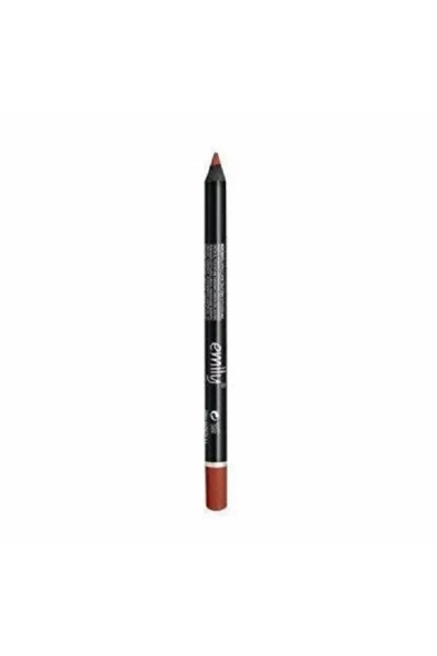 Long Lasting Lip Pencil Dudak Kalemi No: 208