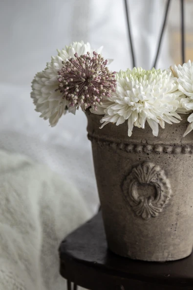 Çift Kişilik Moneda Adaçayı Yatak Örtüsü Nevresim Seti - 2