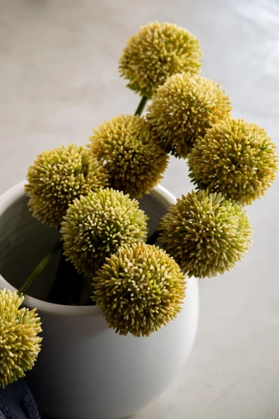 Çift Kişilik Ellion İndigo Trikolu Battaniyeli Nevresim Takımı - 3