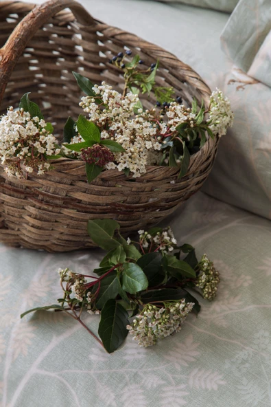 Tek Kişilik Elysian Adaçayı Complete Set - 2