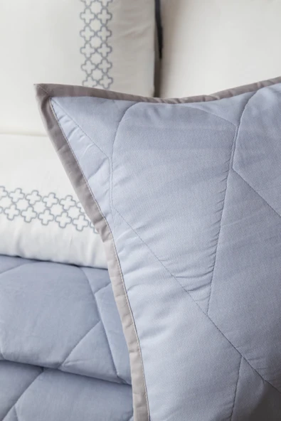 Çift Kişilik Beetle Mavi Yatak Örtüsü Nevresim Seti - 3