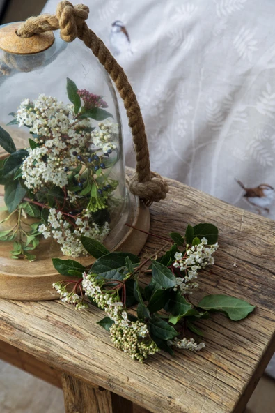 Çift Kişilik Elysian Bej Pike Takımı - 2