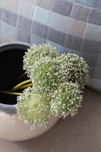 Çift Kişilik Piazza İndigo Timeless Yatak Örtüsü Nevresim Prime Set - 5