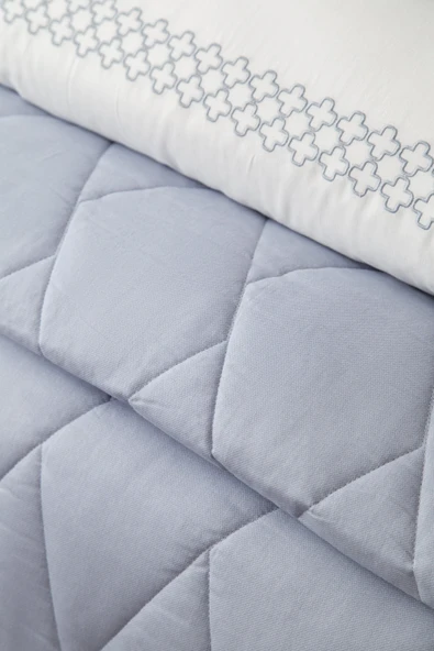 Çift Kişilik Beetle Mavi Yatak Örtüsü Nevresim Seti - 4