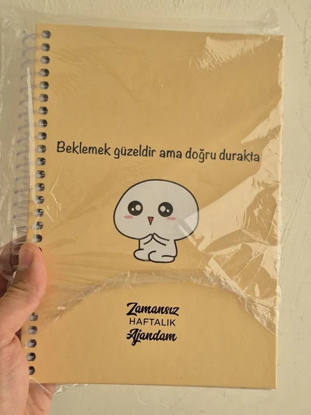 Zamansız Haftalık Stickerlı, Resimli, Renkli Spiralli Sert Kapak Ajanda 17x24 CM - Resim 5
