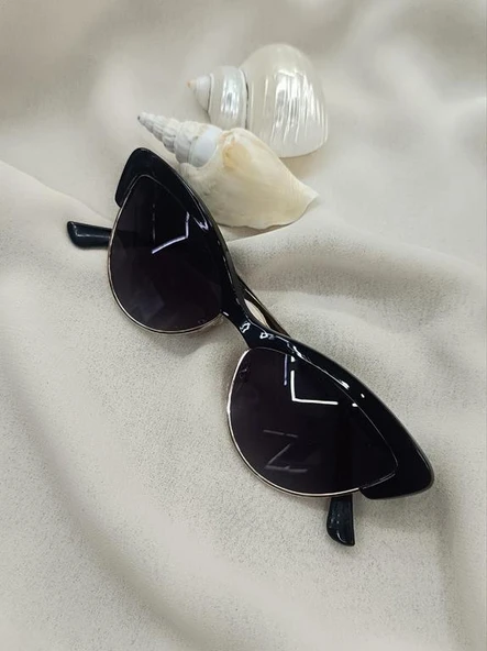 DK4170 4304 COL.1 Kadın Güneş Gözlüğü Kutusunda ürün görseli