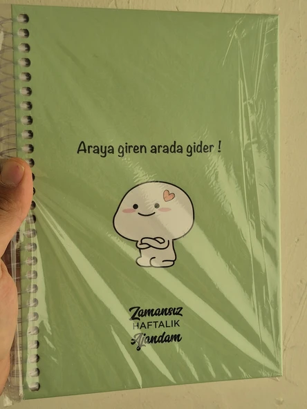 Zamansız Haftalık Stickerlı, Resimli, Renkli Spiralli Sert Kapak Ajanda 17x24 CM - Resim 6