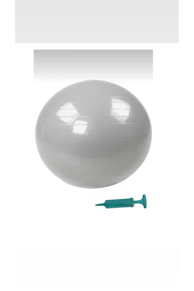 HEPİTOP 65 cm   Pilates Topu Şişirme Pompalı Plates Denge Yoga Spor Egzersiz Topu Jimnastik Top ürün görseli