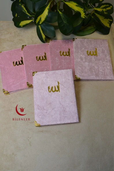 Kadife Kapaklı Allah Lafızlı 20 Adet Ekonomik Yasin Kitabı - 12x17 cm, 80 Sayfa - 6