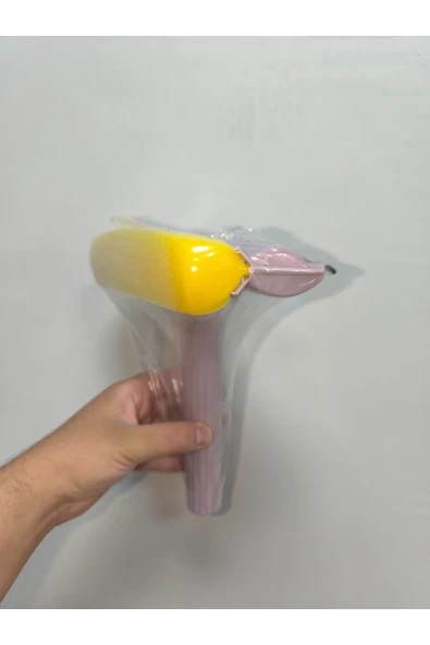 AKGÜNEŞ MOTOGARAJ CAM SİLME APARATI MOR VE GRİ - 2