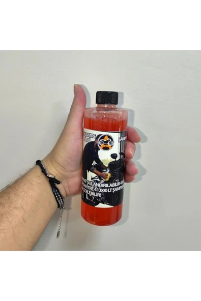 AKGÜNEŞ MOTOGARAJ Akgüneş Konsantre Oto ve Moto Şampuanı 410ML 60 KAT SULANDIRILABİLİR - 2