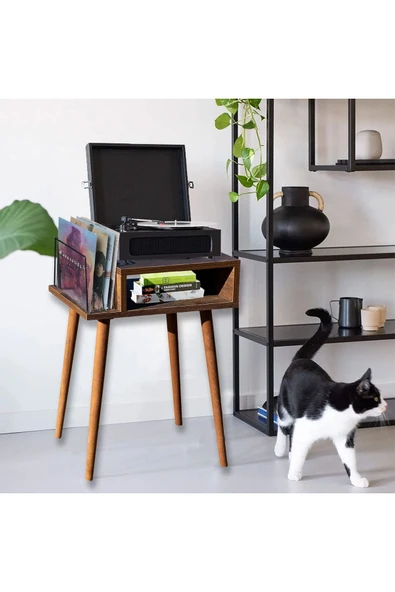 RMD SHOP Plak Ve Pikap Sehpası Ahşap Ayaklı - 1