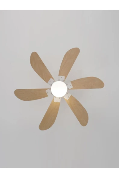 İleri Geri Fonksiyonlu 6 Kanatlı Fan ve Işıklı Uzaktan Kumandalı Tavan Vantilatörü, Sessiz Çalışma - 2