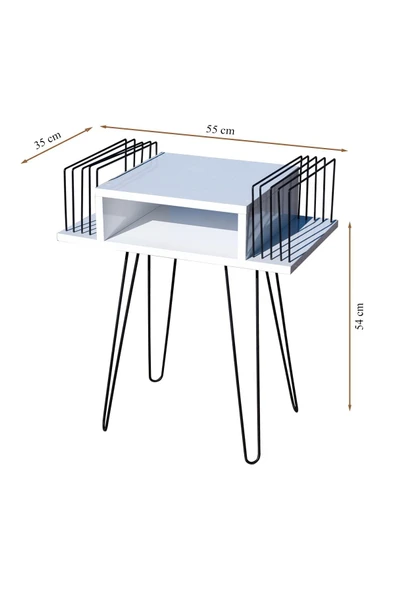 RMD SHOP Dekoratif Plak Ve Pikap Sehpası Metal Ayaklı - 2