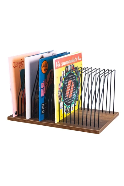 RMD SHOP Dekoratif Plak Düzenleyici Organizer Plaklık - 2