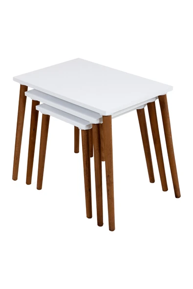 RMD SHOP Neptün 3 lü Zigon Sehpa - 5