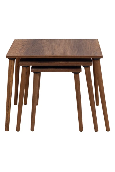 RMD SHOP Neptün 3 lü Zigon Sehpa - 4