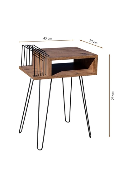 RMD SHOP Plak Ve Pikap Sehpası Metal Ayaklı Atlantik Çam - 2