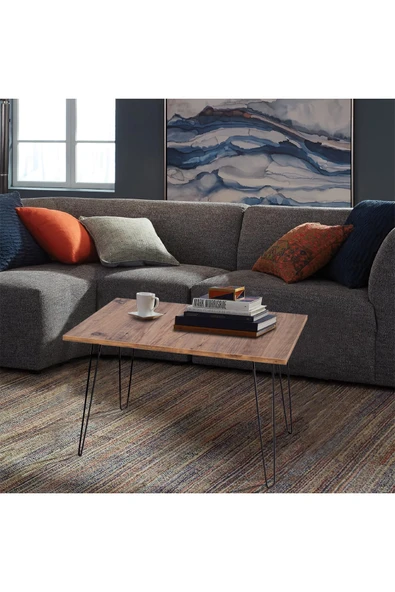 RMD SHOP Katlanır Metal Ayaklı Piknik Sehpası-orta Sehpa - 2