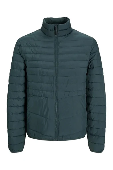 Jack & Jones Erkek Yeşil Ceket 12256985 - 1