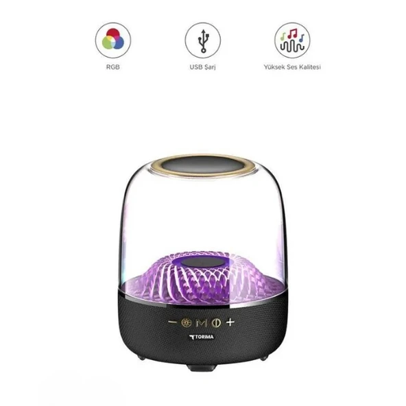 D33 Siyah Taşınabilir Kablosuz Bluetooth Hoparlör - 1