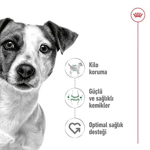 Royal Canin Mini Adult Köpek Maması 2 kg Promo. - 3