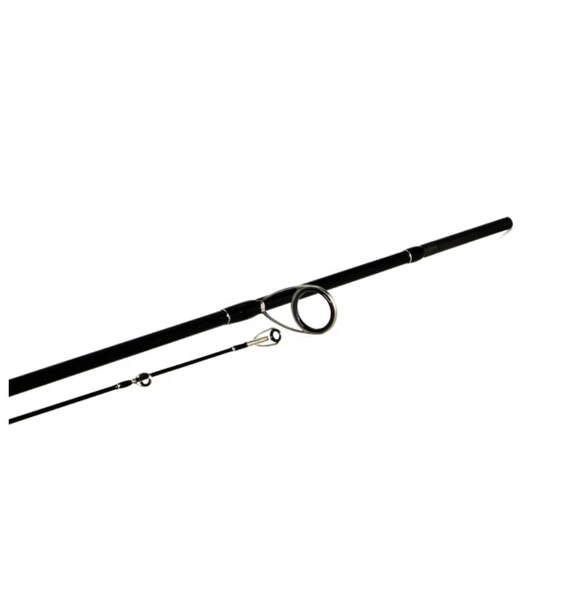 SHİMANO ROD BASSTERRA SPİN SEA BASS 2,90M 9'6" 15-60G 2PC - Resim 5