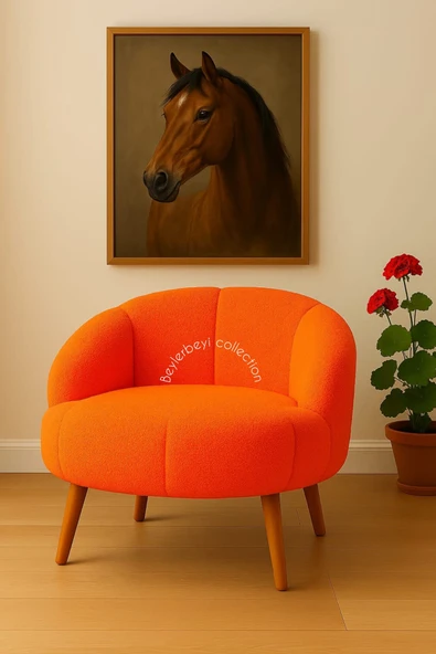 Papatya berjer,Çay Seti Tekli Koltuk Berjer  (SALON, BALKON, OFİS) yastık Hediyeli - 1