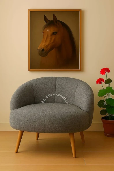 Papatya berjer,Çay Seti Tekli Koltuk Berjer (SALON, BALKON, OFİS) yastık Hediyeli ürün görseli