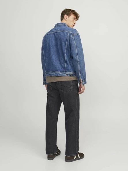 Jack Jones Alex Baggy Fit Erkek Jean Pantolon 12252762 - 3