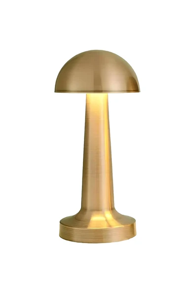3 Işık Renkli Şarjlı Dim Edilebilir Masa Lambası Gold Kasa Ct-8429 - 4