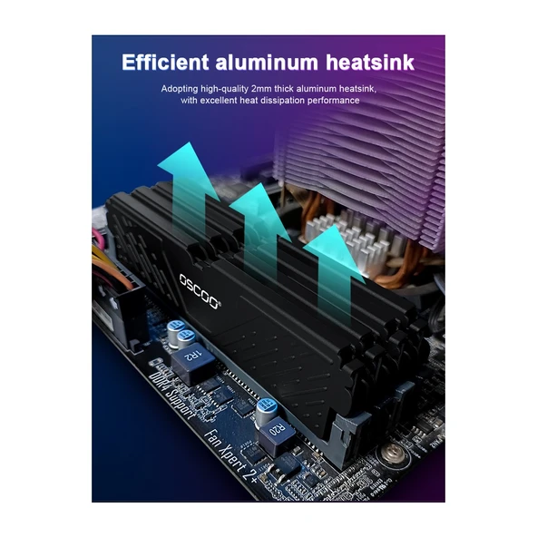 Oscoo Black Warrior E500 32GB 5600MHZ CL46 Ddr5 1.1V Ram - 3