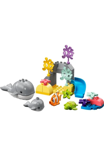 LEGO ® DUPLO® Vahşi Okyanus Hayvanları 10972 - 2 Yaş ve Üzeri Çocuklar için Yapım Seti (32 Parça) - 5