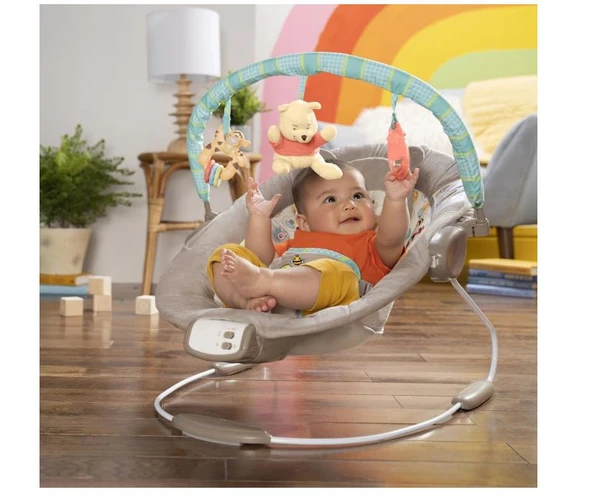 Bright Starts Sallanan Bebek Titreşimli Ana Kucağı - Resim 2
