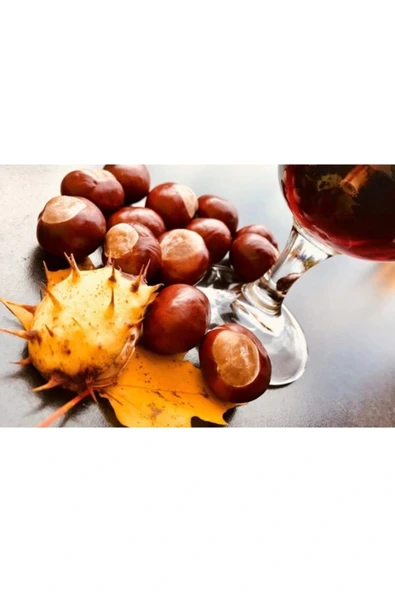 At Kestanesiyağı 20 Ml ürün görseli