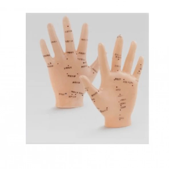 Akupunktur El Maketi ürün görseli