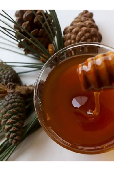 Çam Balı 1 kg Marmaris Bölgesi ürün görseli 1