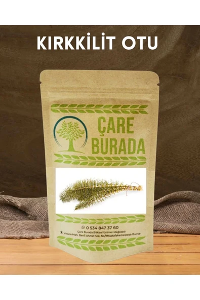Kırkkilit otu 50 gr ürün görseli