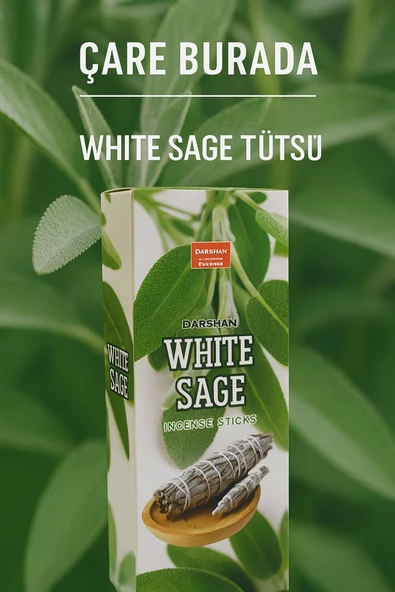 Darshan Incense - White Sage 20'li Çubuk Tütsü ürün görseli