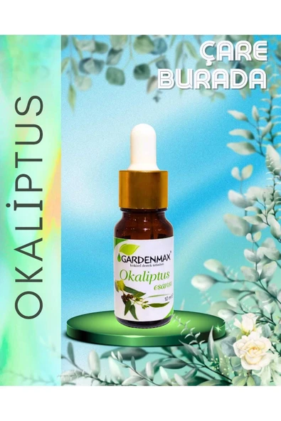 Okaliptus Kokusu 10 ml ürün görseli