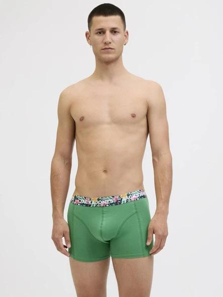 Jack Jones Jacfred Flamıngo Trunks 2 Pack Sn Boxer 12283386 - 7