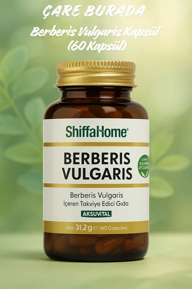 Berberis Vulgaris Kapsül (60 Kapsül) ürün görseli