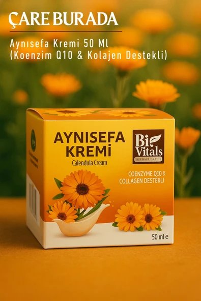 Biovitals - Aynısefa Kremi 50 Ml (Koenzim Q10 & Kolajen Destekli) - 1