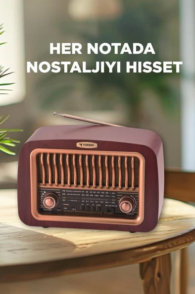 Torima D-59 Kahverengi Nostalji Radyo Kablosuz Bluetooth Hoparlör - 2