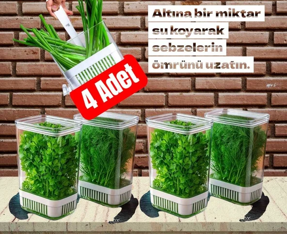 Yeşillik Saklama Kabı 4 Ad 2900ML Maydonoz,dereotu,tere Roka Yeşillik Sebze Kabı ürün görseli