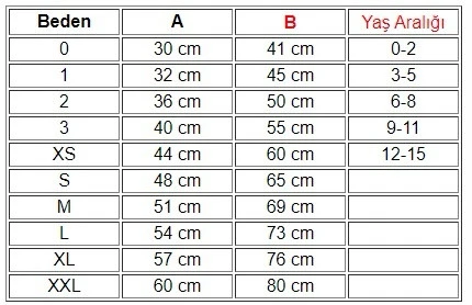 Kısa Kollu T-Shirt (Japan) - 4