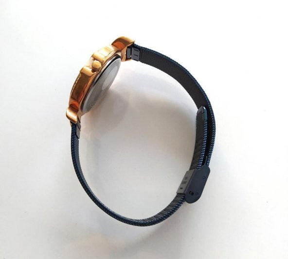 Reward RD63075L Kadın Hasır Çelik Kordon Kol Saati Lacivert - 2